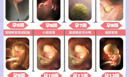 桃金娘油肠溶胶囊和什么药一起吃网 - 为你提供桃金娘油肠溶胶囊饭前吃还是饭后吃、桃金娘油肠溶胶囊和什么药一起吃效果好