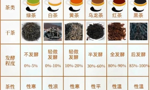 桃金娘油肠溶胶囊吃多久一个疗程-桃金娘油肠溶胶囊和什么药一起吃网 - 为你提供桃金娘油肠溶胶囊饭前吃还是饭后吃、桃金娘油肠溶胶囊和什么药一起吃效果好