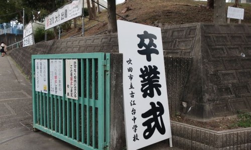 桃金娘油肠溶胶囊可以用温水送服吗-桃金娘油肠溶胶囊和什么药一起吃网 - 为你提供桃金娘油肠溶胶囊饭前吃还是饭后吃、桃金娘油肠溶胶囊和什么药一起吃效果好
